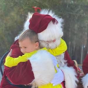 Meet your Posher, Carli